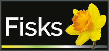Agency Logo